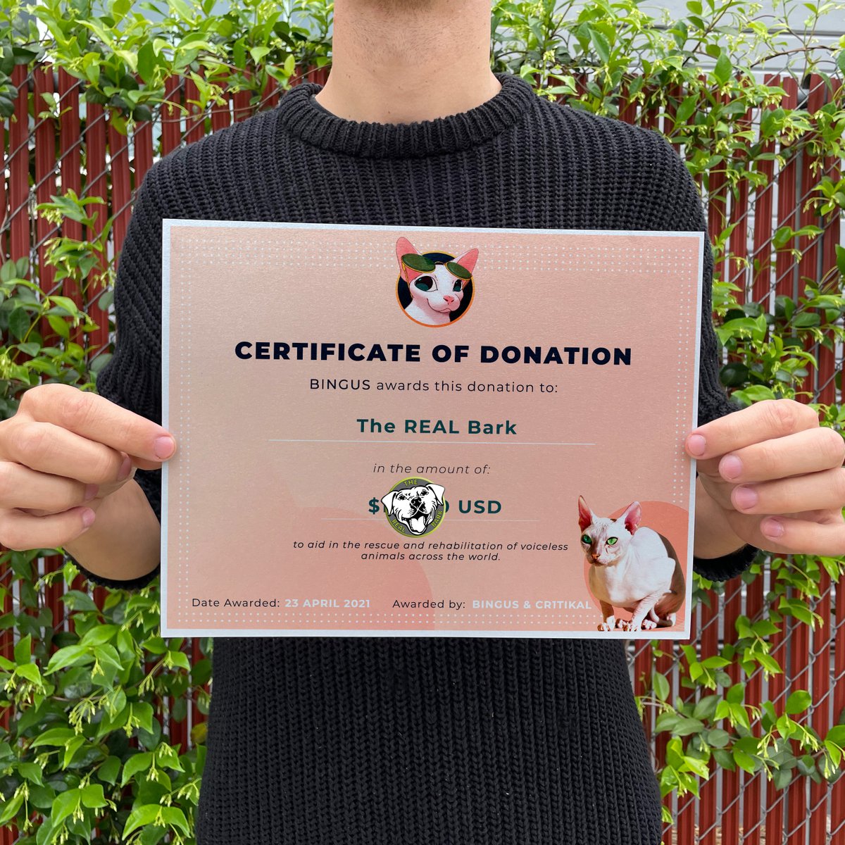 The REAL Bark tweet media