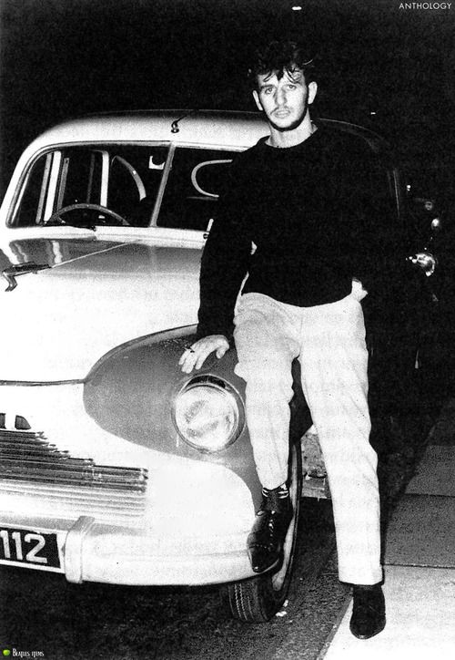 Teddy boy Ringo - A thread