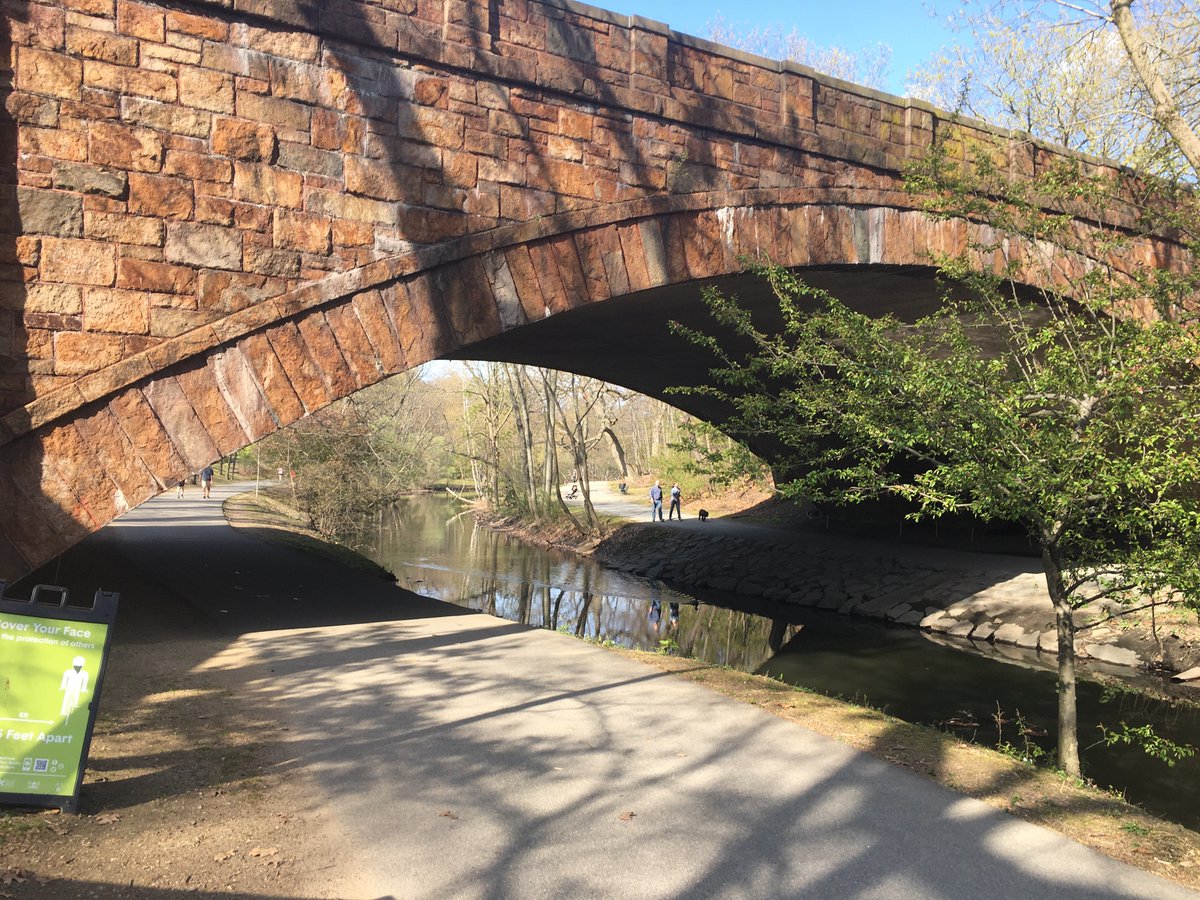 The long corridor of trees and bridges along the Riverway. The way it’s sandwiched between the Longwood medical area and the Riverside Green Line tracks makes the abundance of arbors feel unlikely and special. I barely even noticed the sound of cars on the Jamaicaway nearby.10/