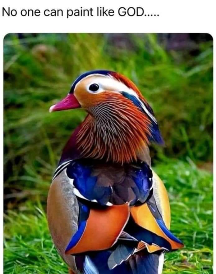 plex21's tweet image. 