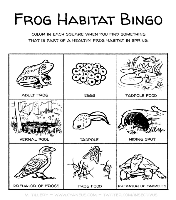 Some #frog habitat bingo for you 