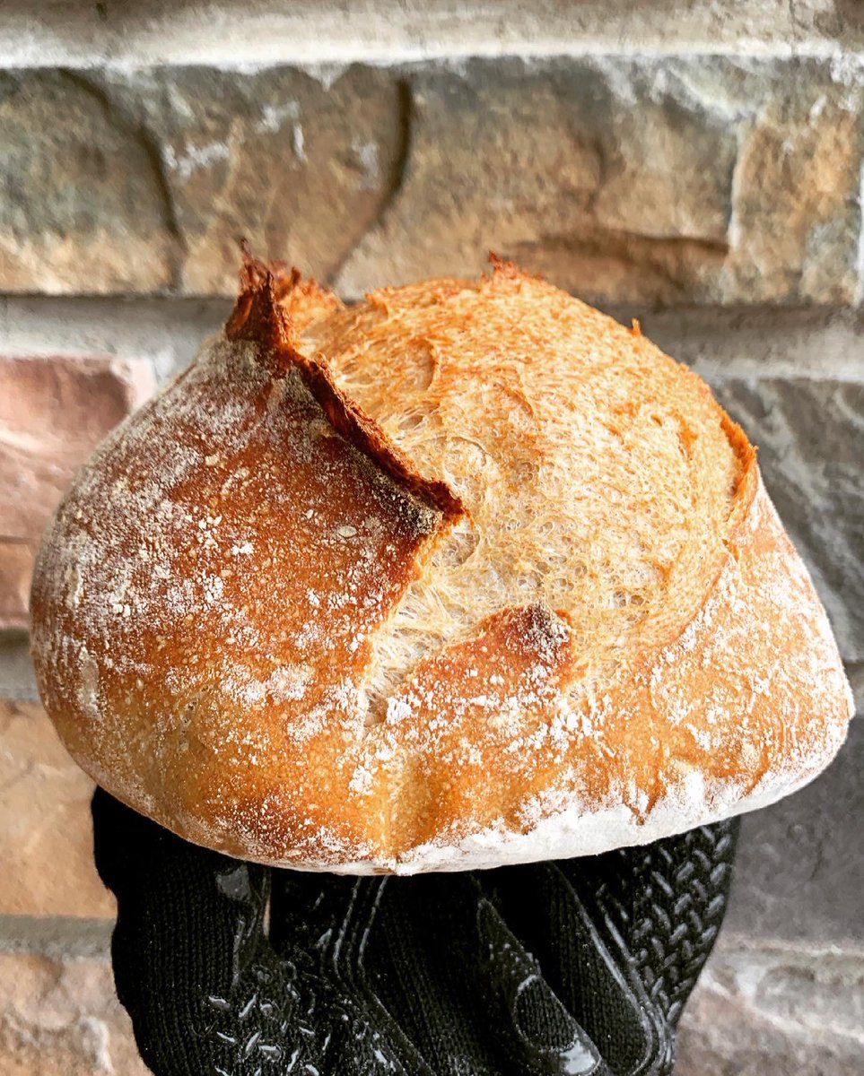 VedgedOut's tweet image. It is so choice #opencrumb #opencrumbbaking #sourdough #sourdoughbaking #sourdoughbread #opencrumbmastery