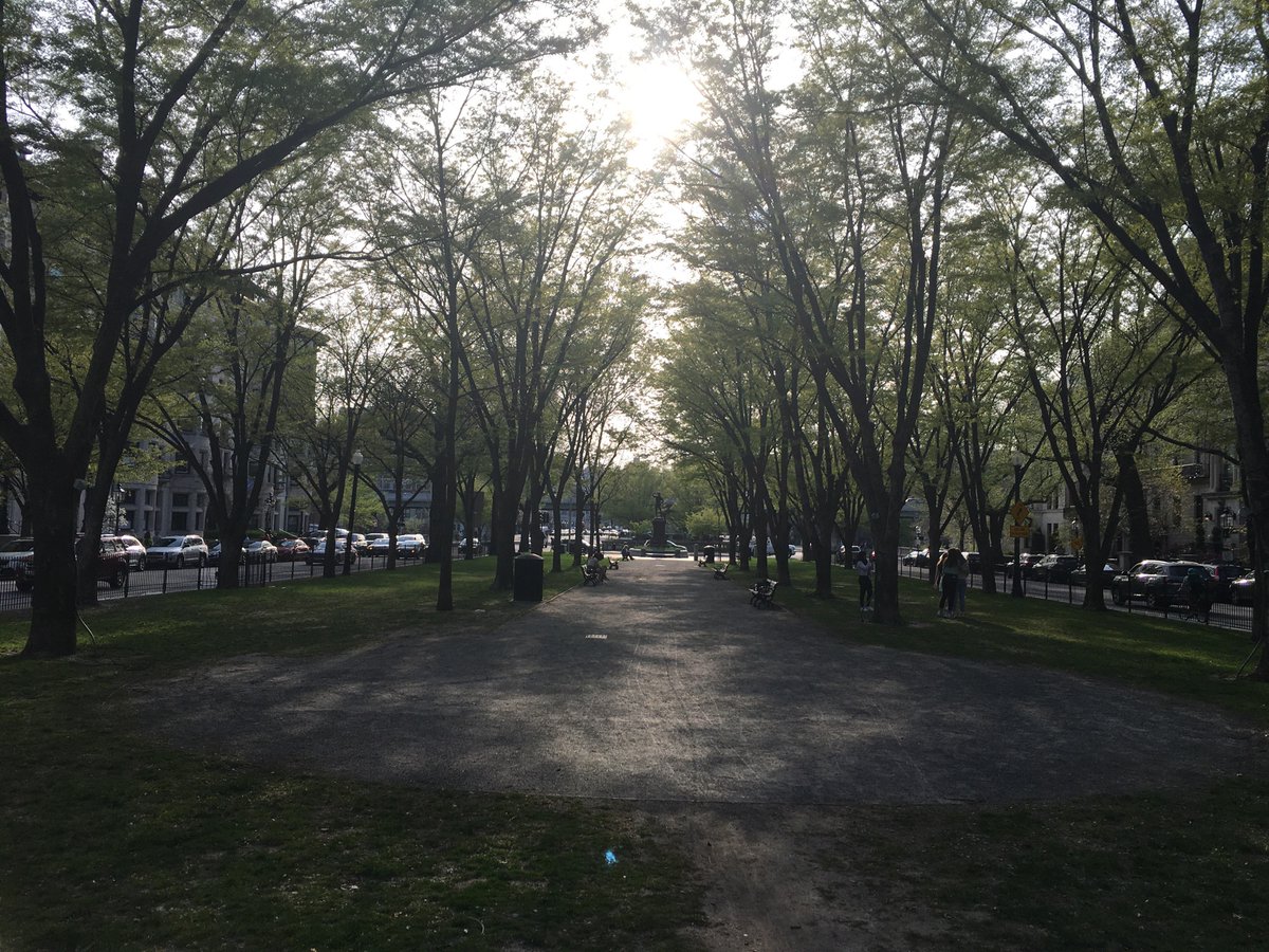 Off to a lovely magic hour start on the Comm Ave Mall, but I couldn’t find a way to negotiate the underpass while staying on the greenway. Nor was there an obvious crosswalk for getting to the neighboring sidewalks. Weird. Seems like something that’s easily fixable.14/