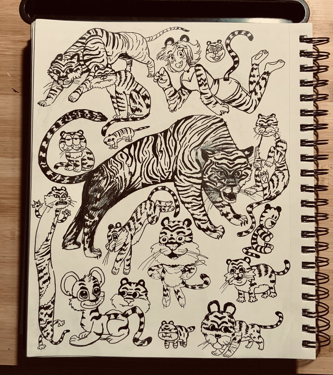 page of tigers 