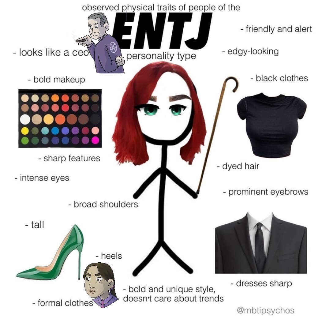 Бсд мбти. MBTI ENTJ персонажи. ENTJ МБТИ. Командир MBTI. ENTP И ENTJ.