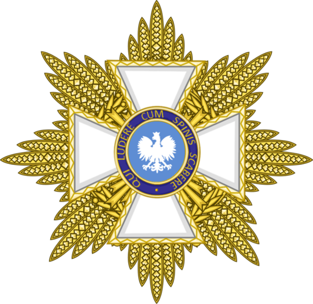 The Royal Residence is pleased to announce that His Majesty Cameron I receieved the Order of Ottokar in the rank of Grand Cross from Queen Maria of @GSildavia!