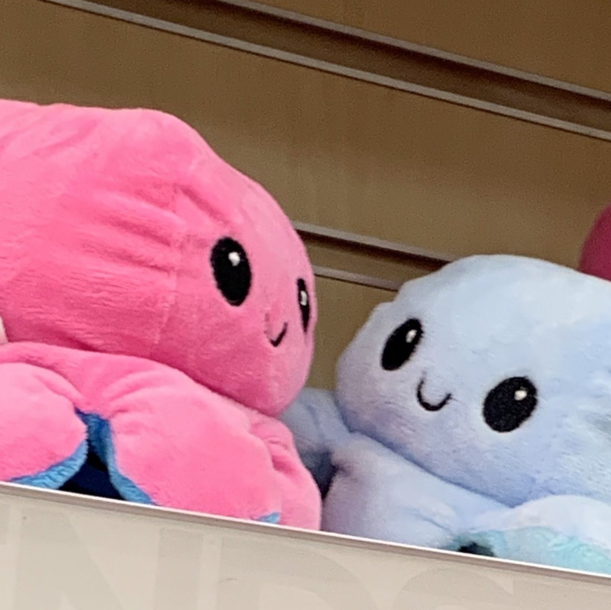 daily kun. on X