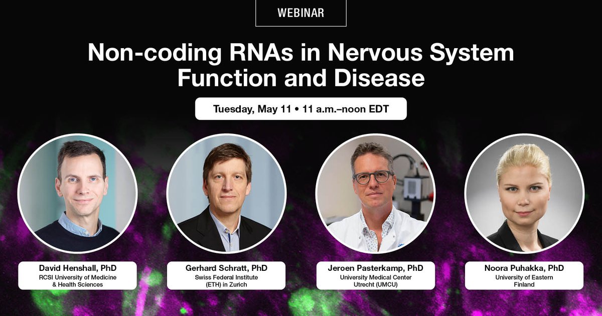 Join us May 11 as we discuss non-coding RNAs and some of the functions of these ncRNAs in the developing and adult brain and how their deregulation contributes to #braindisease. bit.ly/3x8QQWN
 
This webinar is hosted in collaboration with <a href="/FENSorg/">FENS</a>

#PhDChat