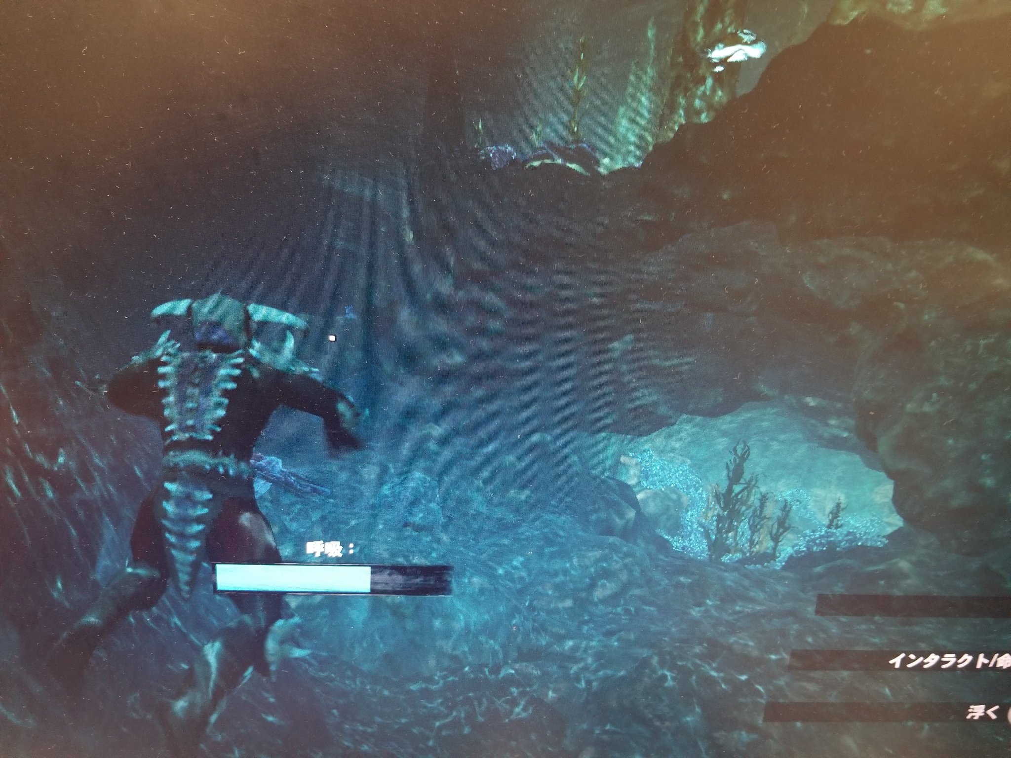 働きマスオさん コナンエグザイル ゲーム垢 コナンエグザイル Conanexiles シプター島 この位置にある小島 島の上にある高跳び板に勢いよく走ると高くジャンプ 海に落ちるのですが その落ちた先の水中に ぐるっと右を向く 洞窟発見 輝きの