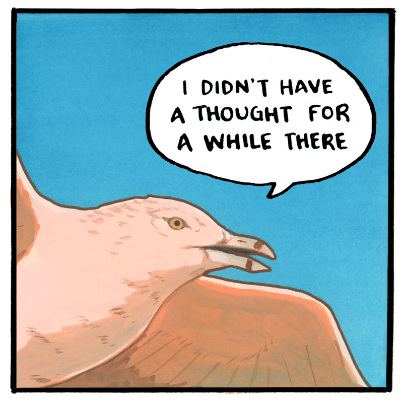 FalseKnees tweet picture