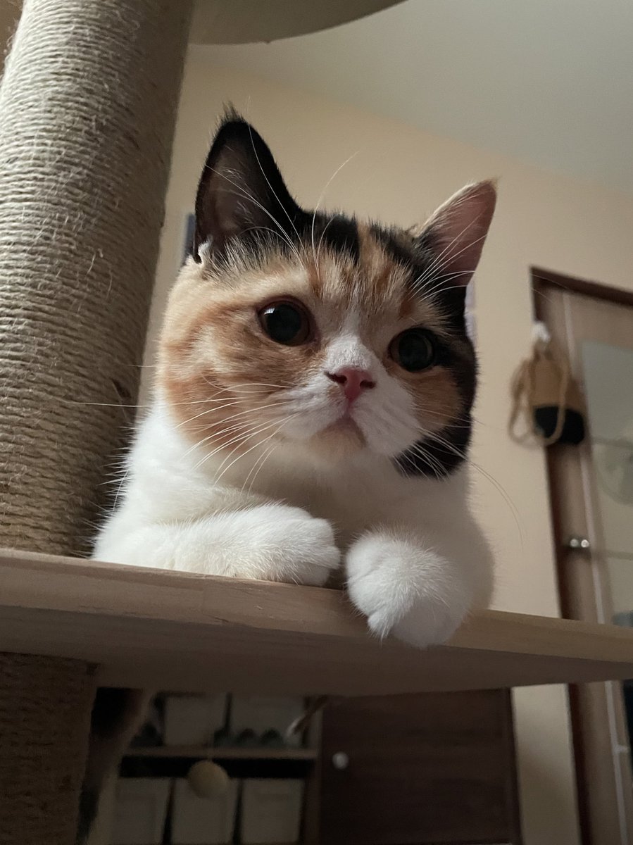 ใครผ่านทวิตนี้ก็ขอให้เป็นวันที่ดีค่ะ จากบ๊วยบ๊วย