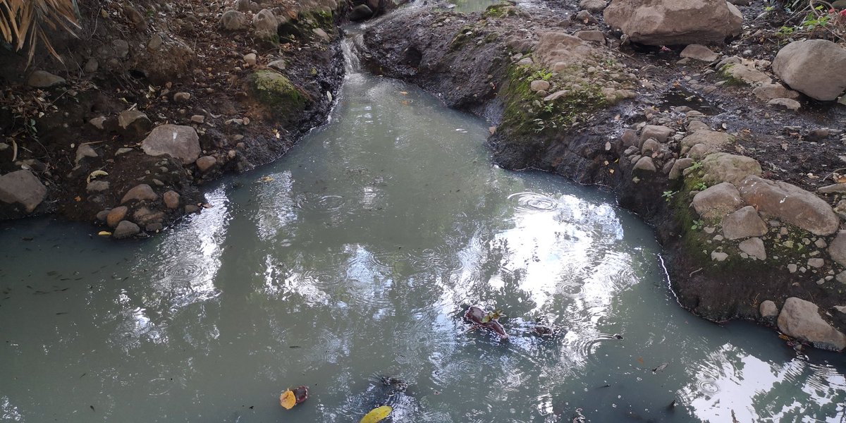 sitracaes's tweet photo. Las descargas de soda cáustica no se hicieron esperar este año!!!. Nuevamente el ingenio jiboa abre las puertas para hacer descargas de soda cáustica a los ríos aledaños causando grandes contaminaciones al medio ambiente, dañando los ríos de la comunidad cercana. https://t.co/4vDhXApIwM