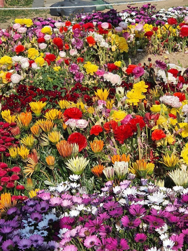 한강자전거라이딩중꽃밭에서