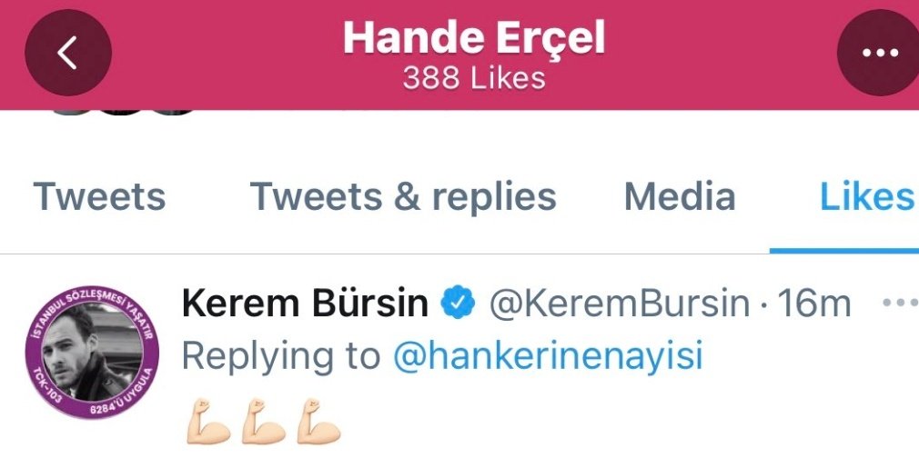 Hande destabilizes everyone, posts two shots: her soul reflected through kerem's eyes. She and a beautiful sunset blend into one where her light appears as radiant as her new great love. Kerem replies to a tweet confirming that he took the photo and Hande confirms with a like. +