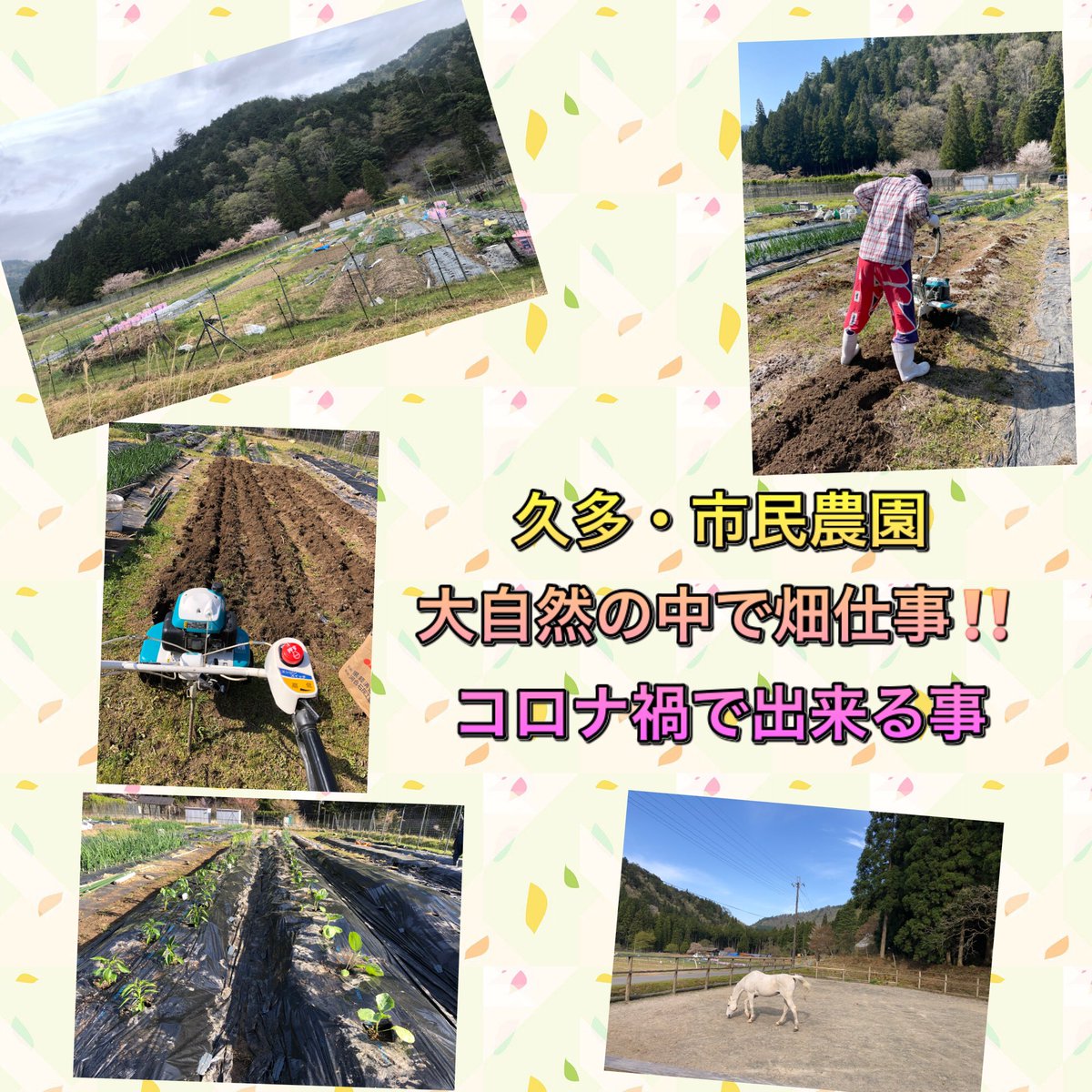 kyoto_waraku's tweet photo. #久多 #限界集落 #田舎暮らし #市民農園 #コロナ禍の過ごし方 

今週はずっと
京都の隠れ家&amp;限界集落・久多
にいました。

農園の管理人さんに　
「地元の方が後はやってくれますから」という
甘い誘惑の言葉を頂き
市民農園の一画を借りました。

大自然の中で畑仕事
気持ちいいですょ。 https://t.co/uOcDhwS5AM
