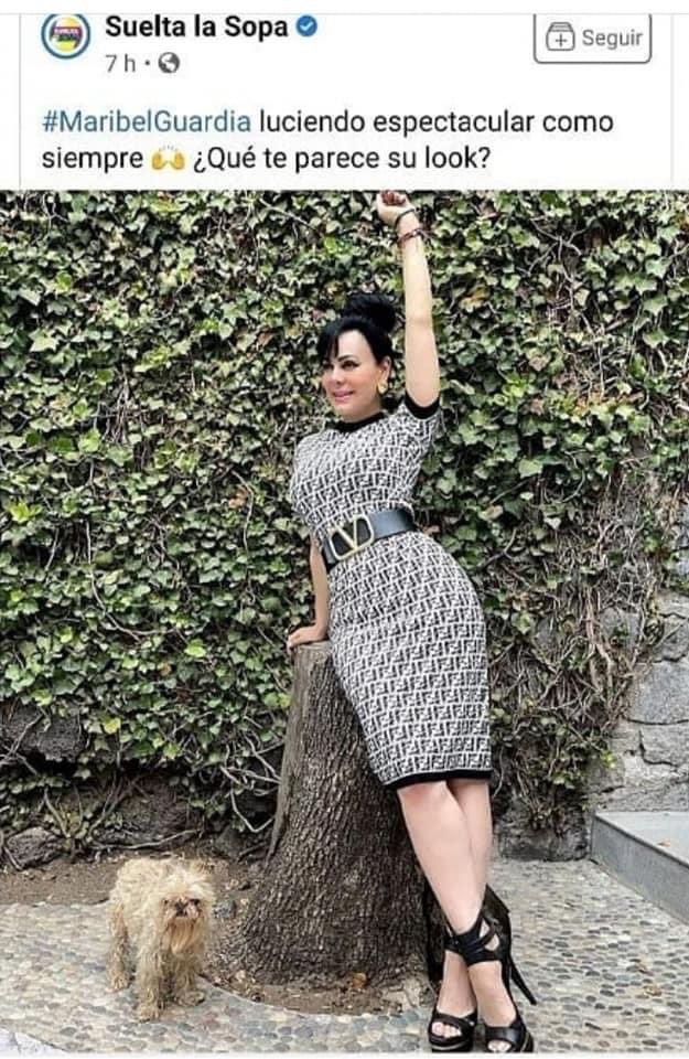 mardelvolcan's tweet photo. ✨TEORÍA DE CONSPIRACIÓN✨

Maribel Guardia le drena el alma a sus perros, por eso ella se ve así a sus 61 años.

Fuentes: de Ortíz https://t.co/JeLKzcDA4S