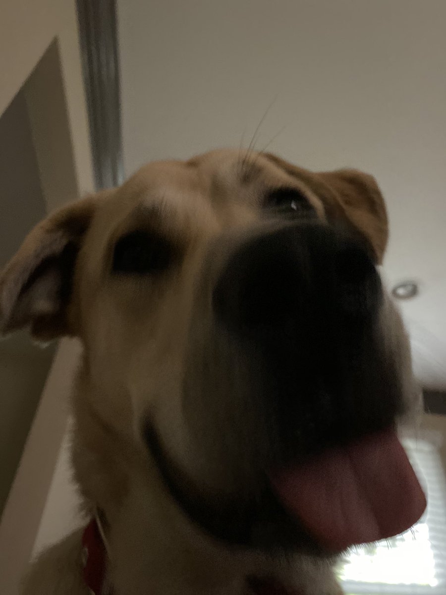mmxyaa's tweet photo. POV: you said “walk?” https://t.co/pfmZRRKpbI