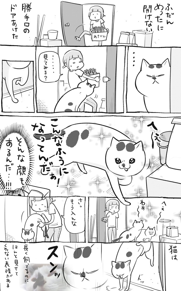 犬と猫どっちも飼ってると、まだ変身を残してたりして毎日たのしい 