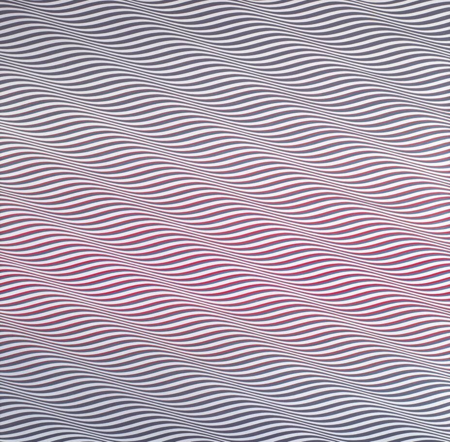 \"For me nature is not landscape, but the dynamism of visual forces.\" Happy Birthday Bridget Riley 