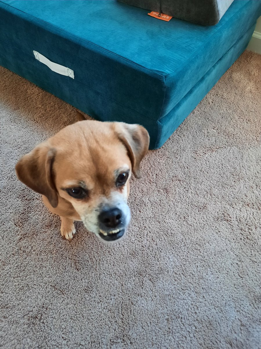 I am grateful that I have a job.