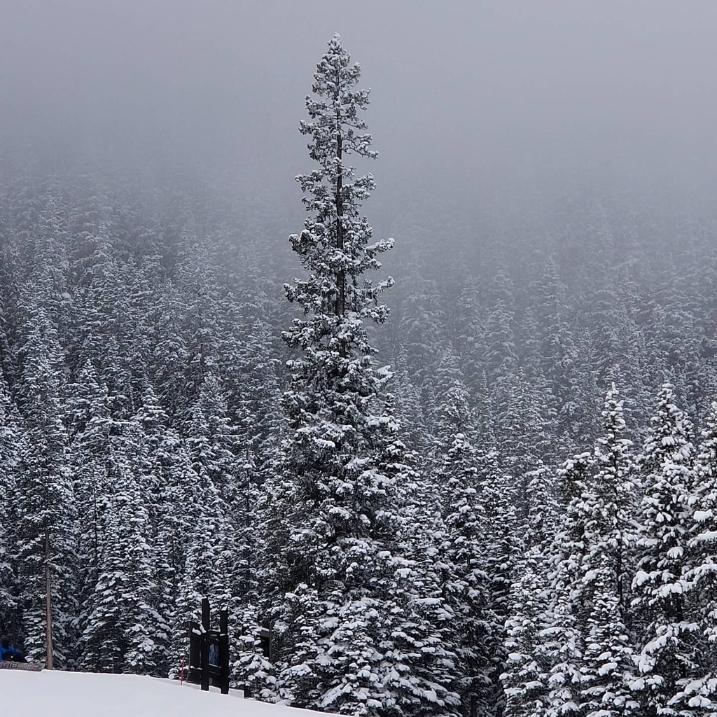 mikeinyyc's tweet image. Still lots of winter left, feels good to be outside today. Thanks for a great season @nakiskaskiarea
.
.
.
#YYC #yycnow #getoutside #mountains #ski #travelalberta #explorecanada #mountains #mountainsarecalling #skicanada #mood #picoftheday #ourplanetdail… instagr.am/p/COEVPlrhVpo/