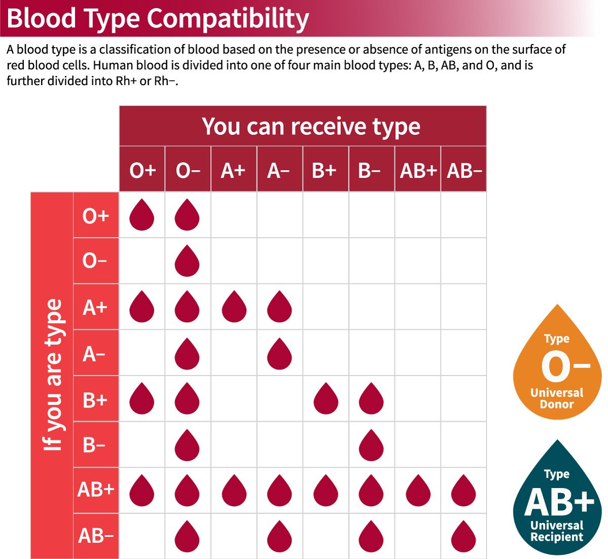 The incompatibility of blood types further limits options. If your blood group is O-, it is very difficult to discover compatible blood.