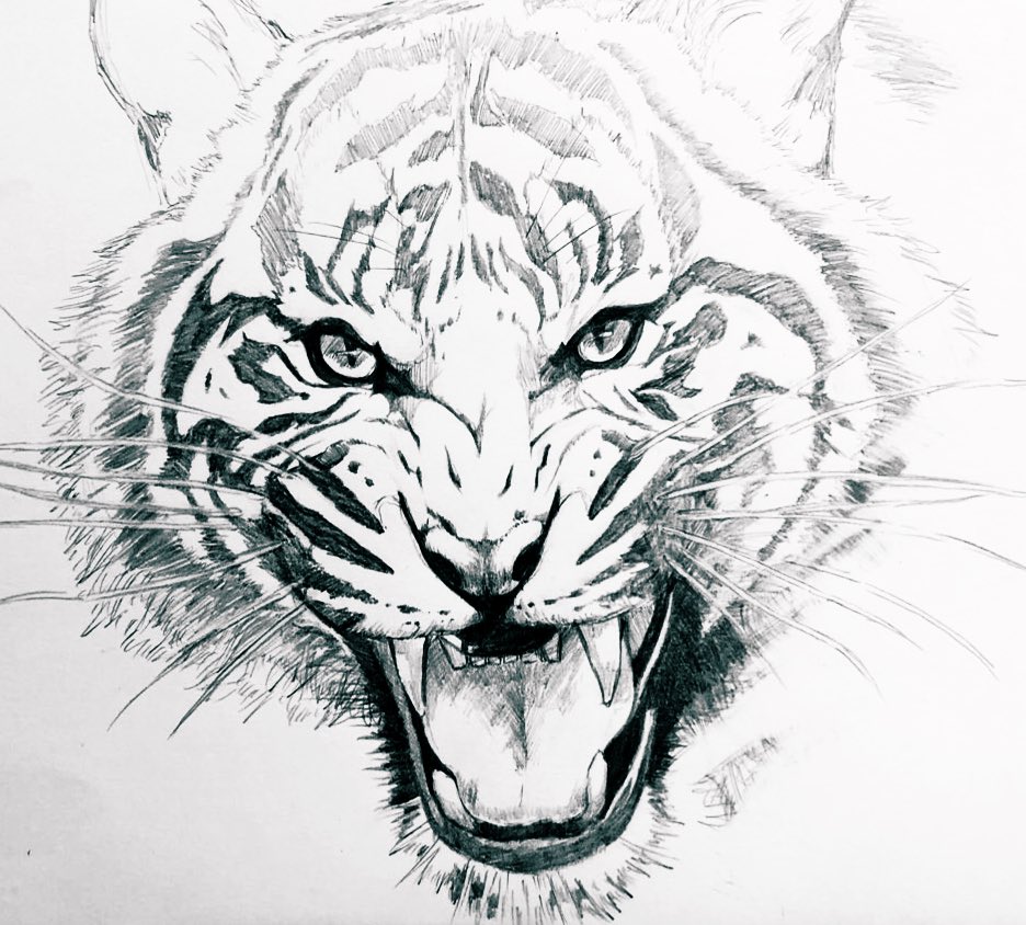 Twoucan しまじろう の注目ツイート イラスト マンガ