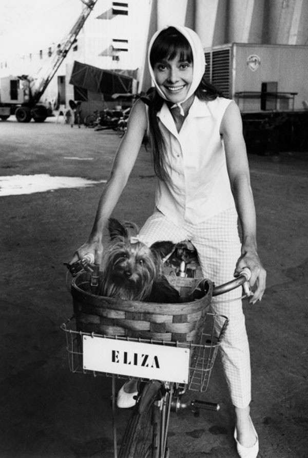 koinunoyouna's tweet image. Audrey Hepburn 
#AudreyHepburn #SeanHepburnFerrer #Assam
photo by 
#CecilBeaton 1964 "Vogue"
#WilliamKlein 1966 "Two for the Road"
#PierluigiPraturlon 1966 with Sean
#BobWilloughby 1963 with Assam
🤍🌹🎞️💫🎏🍃🤍