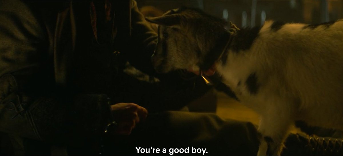  #shadowandbone   spoilersthis show REALLY loves goats