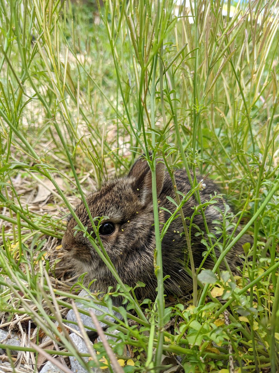 Benjamin tweet media