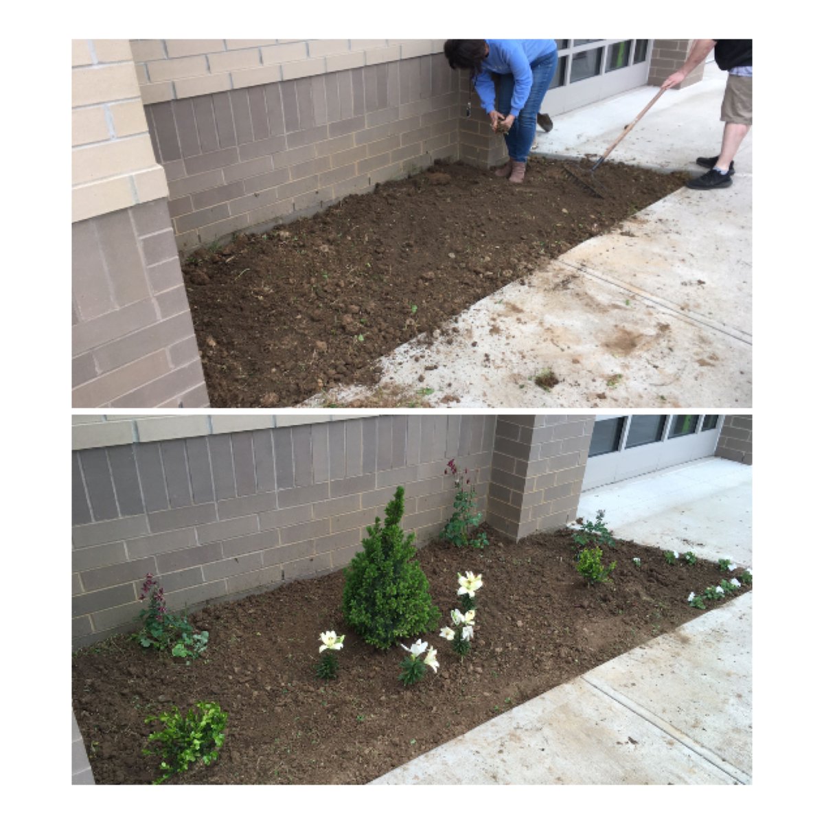 UrbanaOHSchools's tweet photo. Thanks to the #DayofService volunteers from the @M_C_ESC for your hard work on April 24th to plant three flower beds and spread out a large pile of topsoil on the @UrbanaHS_OH campus.  Thanks also to Denise Thiel for donating the plants and shrubs. https://t.co/AuuJLtIFLB