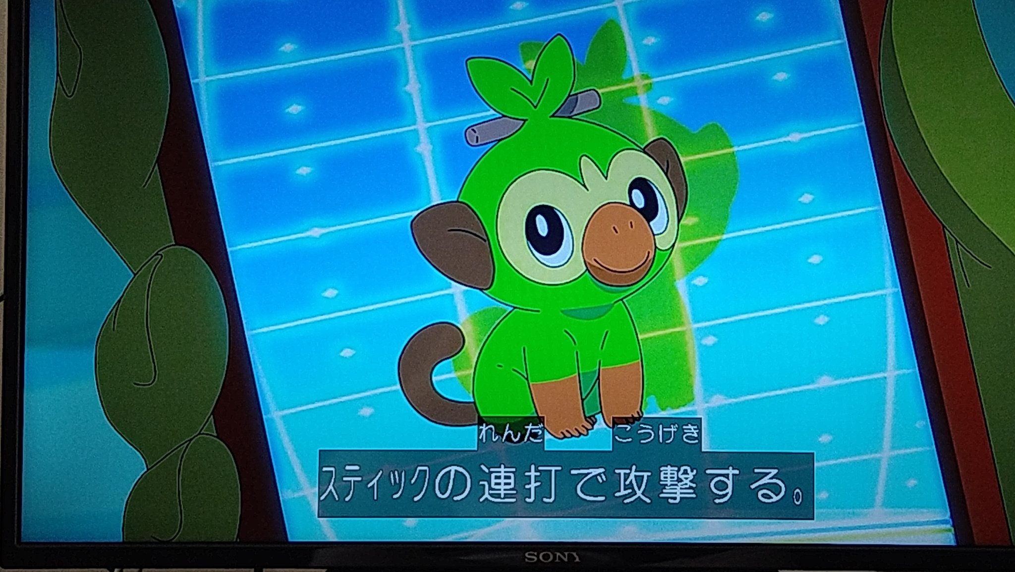 た ワクチン接種3回目4 22 1年以上アニメに出なかった超不遇ガラル草御三家 アニポケ Anipoke ポケモン T Co U36os8kgpe Twitter た ワクチン接種3回目4 22 1年以上アニメに出なかった超不遇ガラル草御三家 アニポケ Anipoke ポケモン T Co U36os8kgpe Twitter