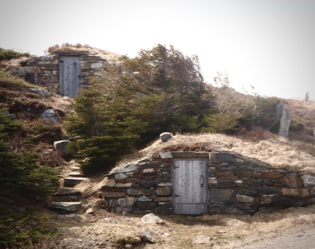 diggerjones27's tweet photo. Touring the Bonavista peninsula today.  #fortpointlighthouse @TownofElliston #rootcellars #maberlyloop #ticklecove #SeaArch @ExploreCanada @CanadianPhotogs #newfoundland @CanonCanada https://t.co/fyHOUofsuc