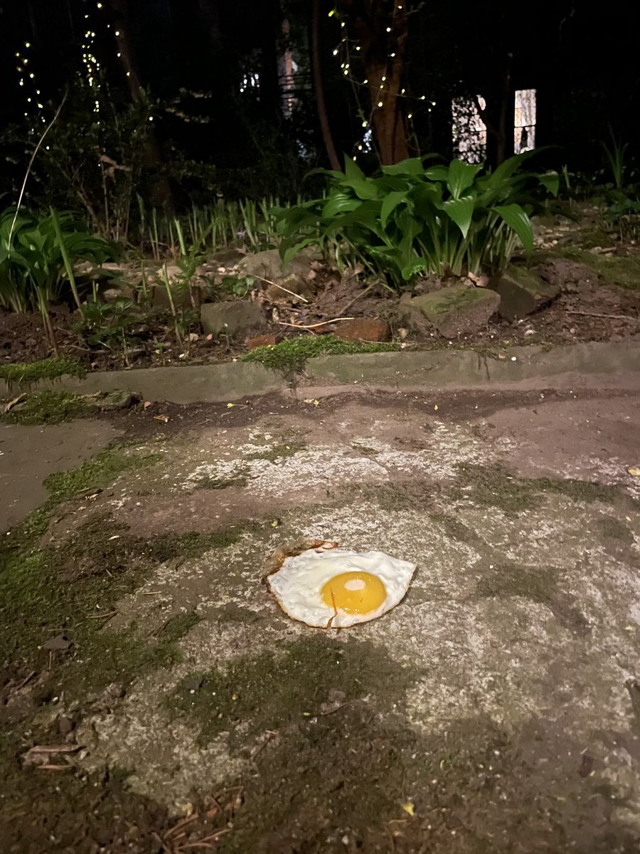 ok he left and now there is just an egg on the ground