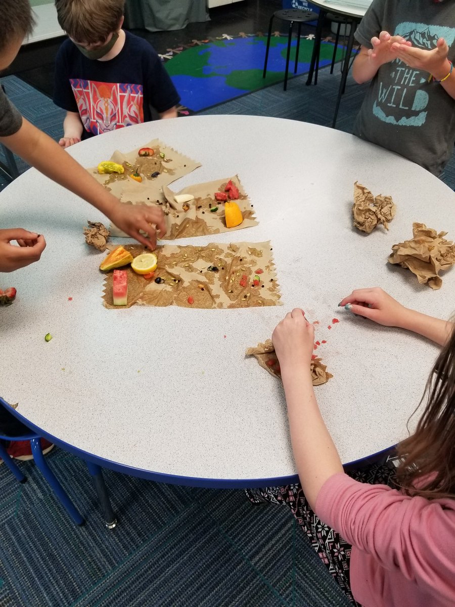 RES_Tigers's tweet photo. Science in action in Mrs. Bell's class! Students were able to study various types of seeds and their characteristics.  No settling for just pictures on a screen here. #tcsyes #resrules https://t.co/qbpLmq9sCX