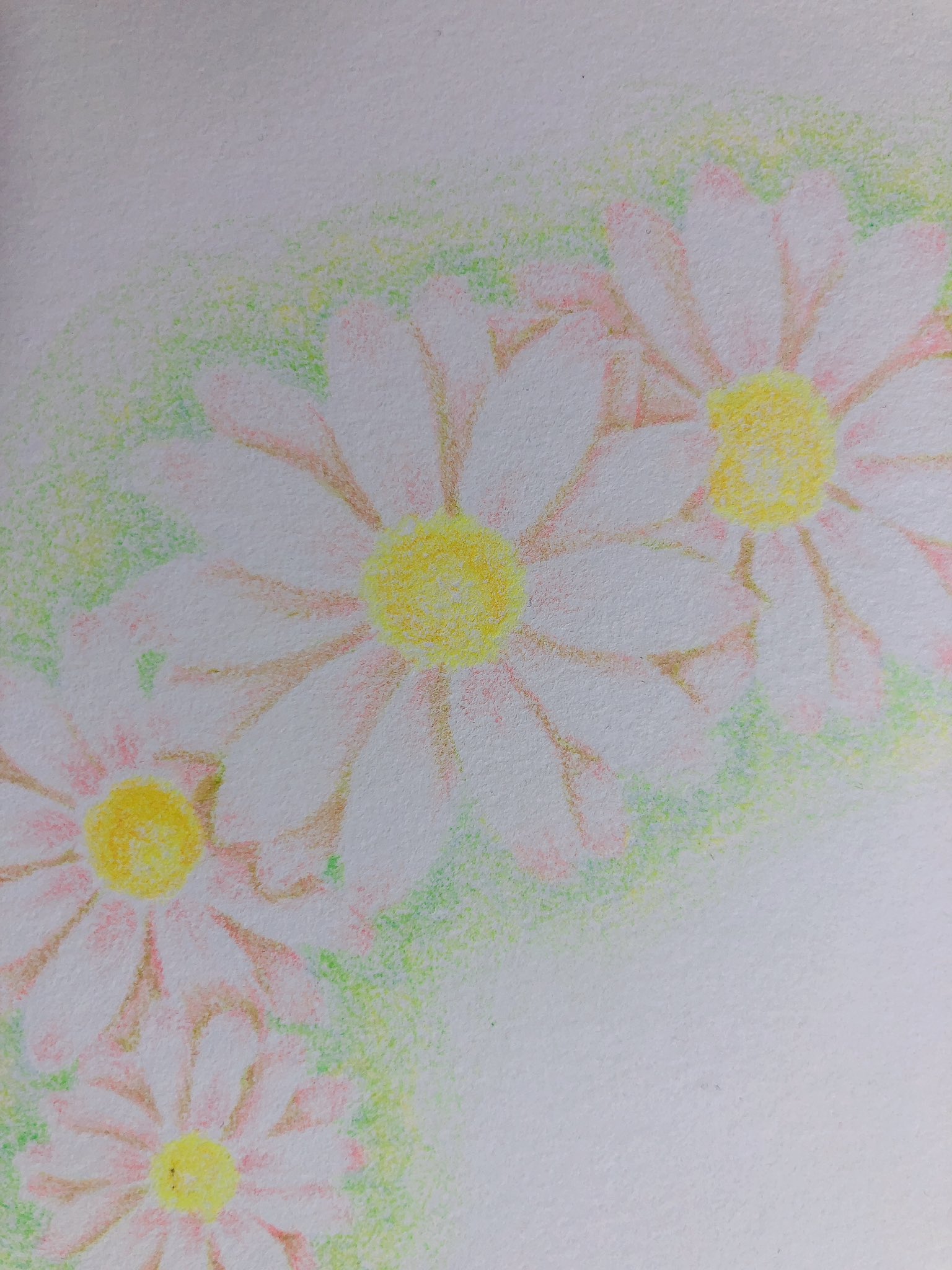 たか あみなごみ グラフィックデザイナー 愛方 キャラ描くより花の方が良いんじゃない うん 私も激しくそう思うwwwww デイジーコネクトのチラシ用 さてあとは 使ってみてどうなるか ピンクのデイジーの花言葉は 希望 イラスト 色鉛筆 たか あみなごみ グラフィックデザイナー 愛方 キャラ描くより花の方が良いんじゃない うん 私も激しくそう思うwwwww デイジーコネクトのチラシ用 さてあとは 使ってみてどうなるか ピンクのデイジーの花言葉は 希望 イラスト 色鉛筆