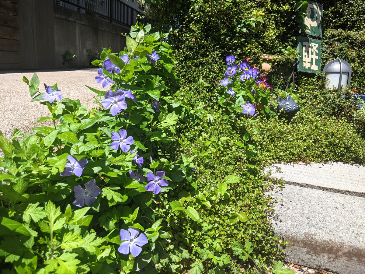 洋食 ことり亭 緊急事態宣言に伴う営業時間等についてお知らせします お夕食 17 30 00 閉店 ラストオーダー 19 00 酒類の提供は休止いたします ご理解賜りますようお願い申し上げます 4月25日 5月11日