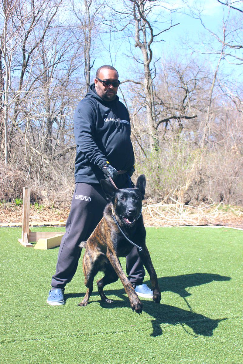 DrFridayNiteLts's tweet photo. When two of your passion’s in life cross paths in a picture! #OLcoach #K9Handler #K9Trainer #OLMasterMinds #TeamBattleSports @BigDuke50 ✊🏾💯 Got me looking awesome!!! #OLinePride #KNPV https://t.co/v8ZvAD216R