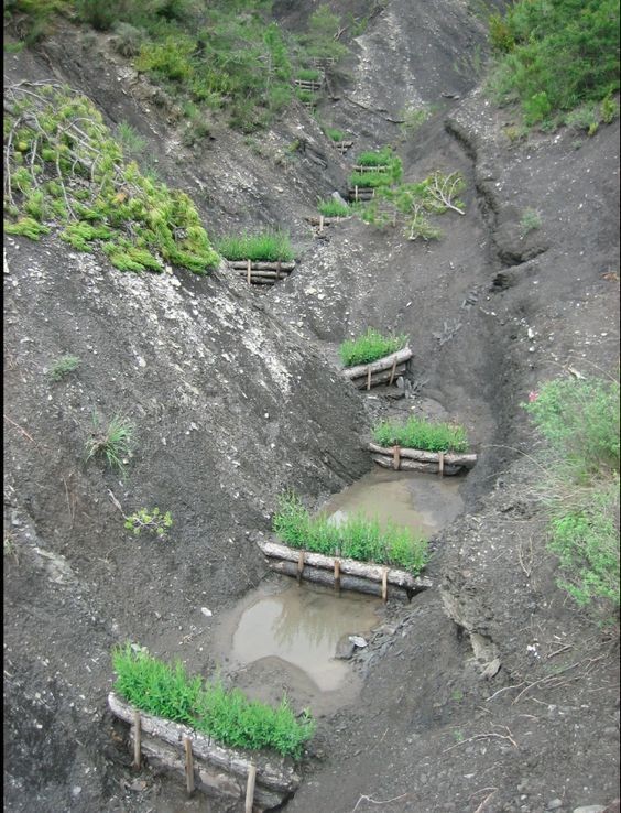 Сүүлийн хэдэн зун намаржих шинжтэй бороо хур их болоод байгаа учраас иргэд байгууллага ташраараа усан хуримтлал үүсгэдэг аргад, ногоо жимс тарьдаг аргад суралцах хэрэгтэй байна. 
Уулын ус, жалганы усыг ашигладаг арга байна.