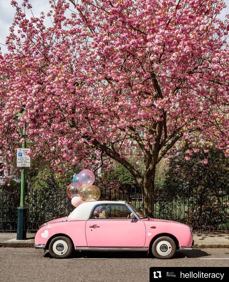 thepowerofcheer's tweet photo. Enjoy your Pretty in Pink Saturday. This makes us smile. Share your fun day with us using #PowerofCheer. #spreadcheer #prettyinpink Repost @helloliteracy
・・・
Saturday Mood.
Photo Credit: #lepinkfigaro https://t.co/SjIE7J9DtV