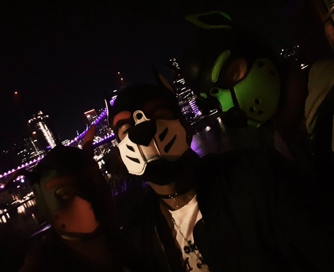 Random night vibes with pup gang ? https://t.co/6MuiaXIoJC