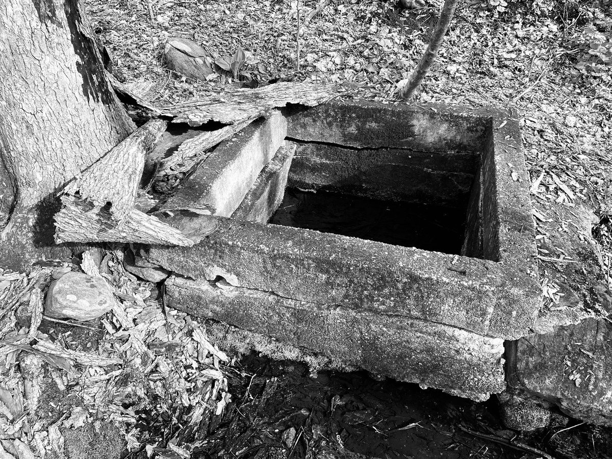 JamieBQuynn13's tweet photo. Mount Tom in Connecticut #blackandwhitephoto #photography #connecticut #prattcenter #mounttom #newmilford https://t.co/VWSKn3IBz7