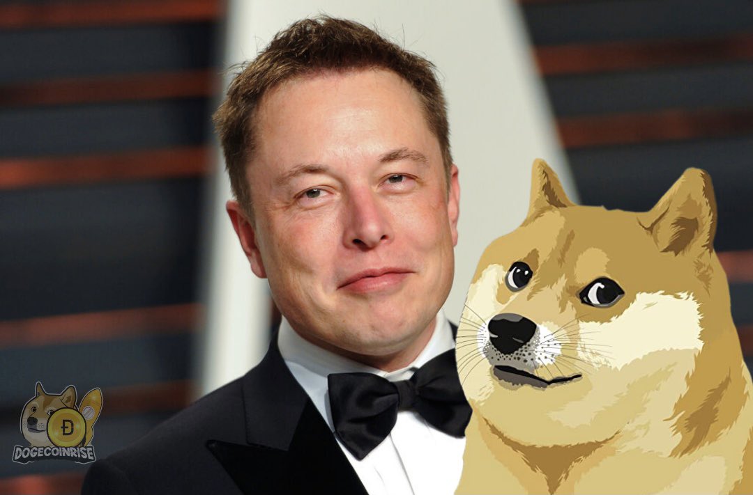 DogecoinRise's tweet image. Retweet If You Think @elonmusk Will Mention #DOGE On #SNL 🐕🪙🚀