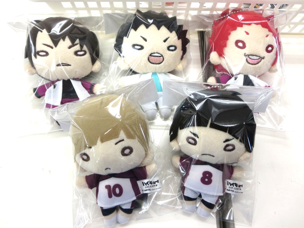 ハイキュー 白布賢二郎 にとたん ぬいぐるみ