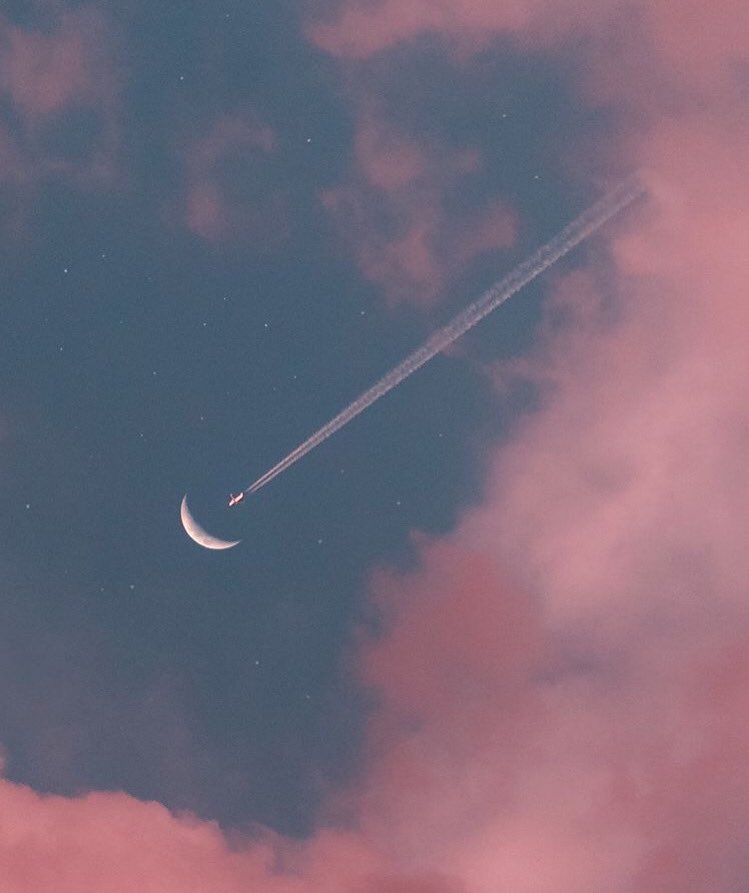 Lofi_aesthetics on X: Follow @Lofiaesthetics1 for more aesthetics