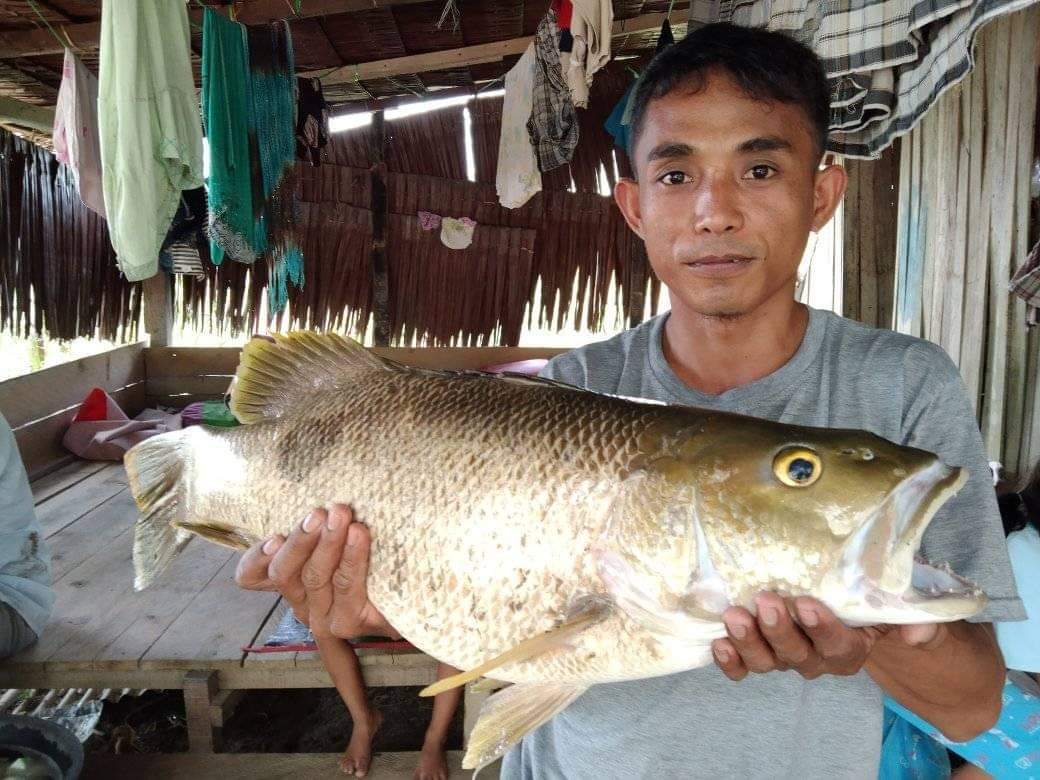 The Monsters from POSO River
#fishing 
#PalumpuTV