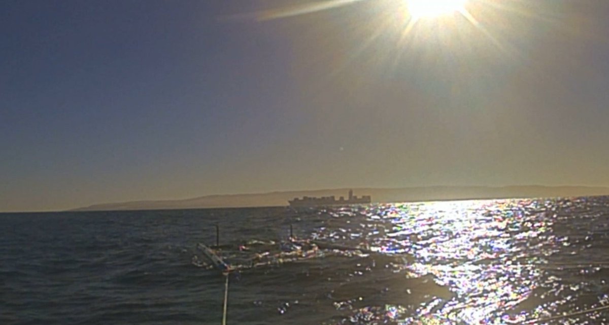 KennedyCreek1's tweet photo. Getting back to reviewing some timelapse footage from #ChannelHoppers #KangarooIsland #OceanSwim and realised cargo ship went behind me doing part of the team swim and not the solo back to mainland. Looking forward to getting a final edit together in the next week or so. https://t.co/7WVjJWupGh