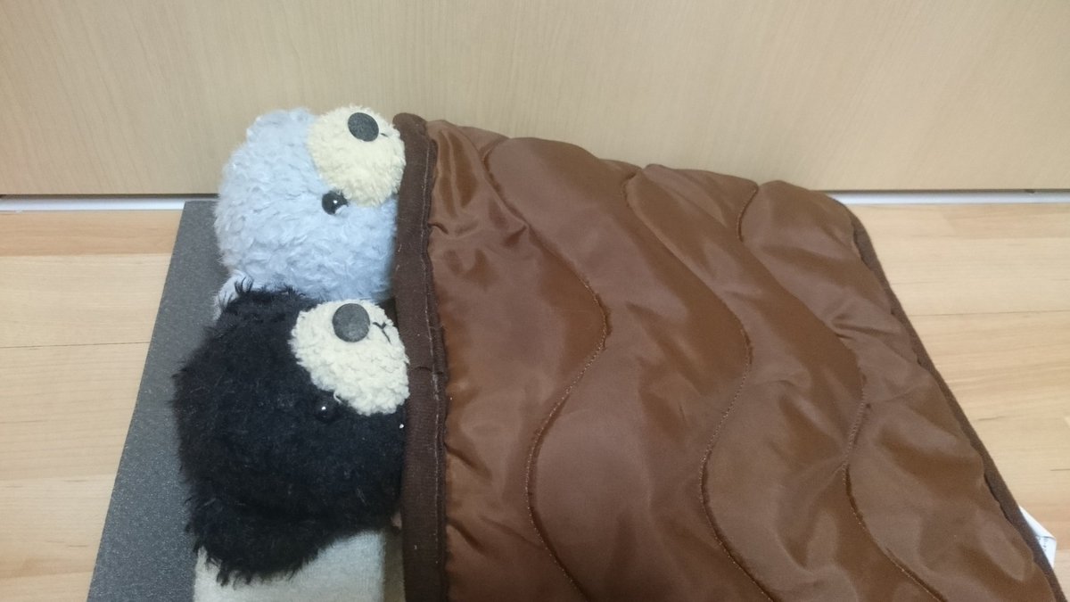 Fukafuka Kuma Fukafuka تويتر