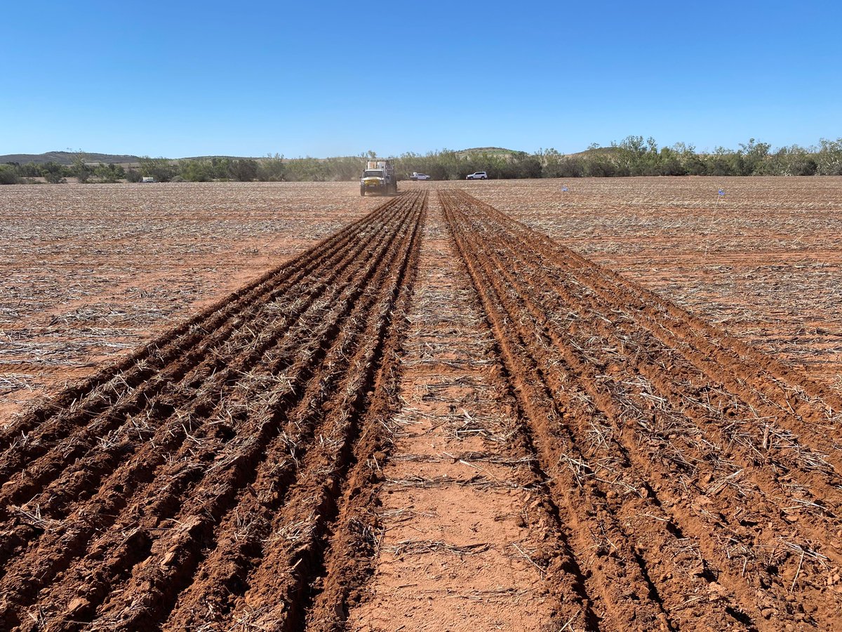 We now have 2 x equaliser plot seeders, with excellent trash flow, capacity to twin plot, ribbon seed or single row, seed to 140mm +, disc seeding, top dress, deep band, inject multiple liquids, with Trimble GPS actuation.... good equipment = good results