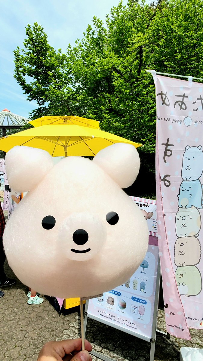 Rie على تويتر わたあめ かわいい